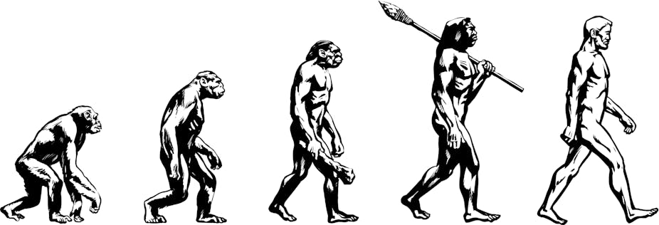 Evolution Picture for AI Video Generator